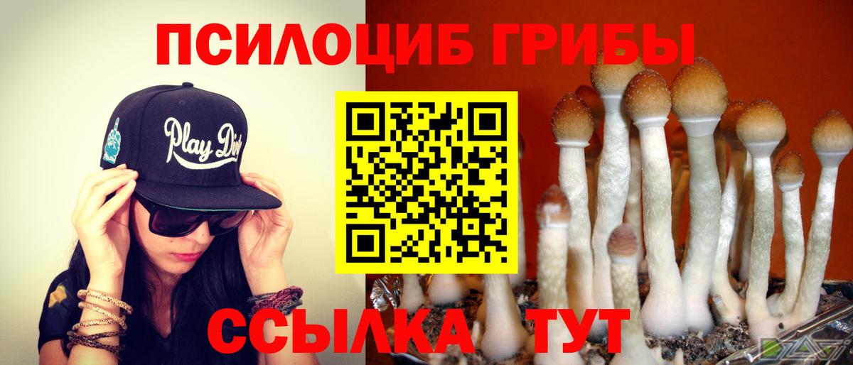 Псилоцибиновые грибы Cubensis  Вход с VPN  Заринск  Псилоцибиновые грибы ЛСД 